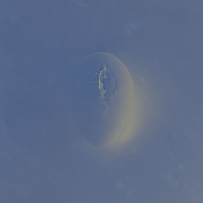 海龟先生 - 死不回头 2021 [24 44.1].hires