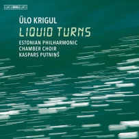 Kaspars Putnins, Estonian Philharmonic Chamber Choir - Ülo Krigul：Liquid Turns - 2022