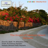 The Sound of Taketomi Island (11.2MHz DSF DSD256)