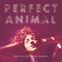 Becca Stevens Band - (2015) Perfect Animal [ProStudioMasters]