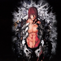 2008 - Castlevania Judgment Original Soundtrack Akumajo Dracula