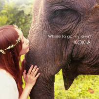 KOKIA - where to go my love(FLAC 96kHz／24bit)